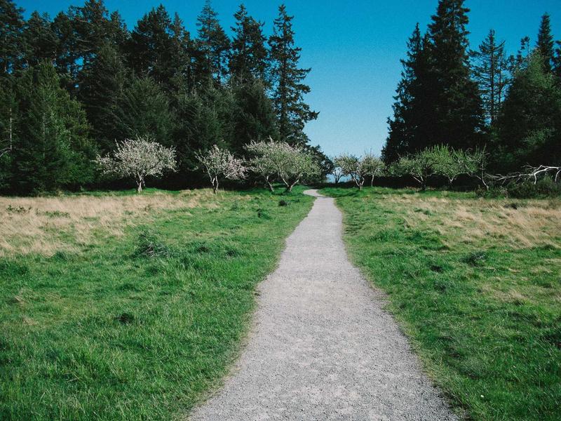 徒步冈仁波齐<br>sybmuzg.cn 转山转水转佛塔